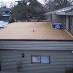 Flat Roof 3